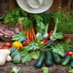 Basics-for-Planting-a-Vegetable-Garden.jpg
